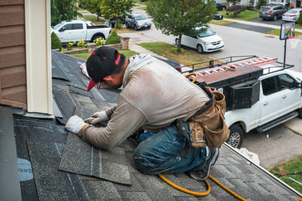 Professional Storm Damage Roof Repair technician working in Louisburg, NC